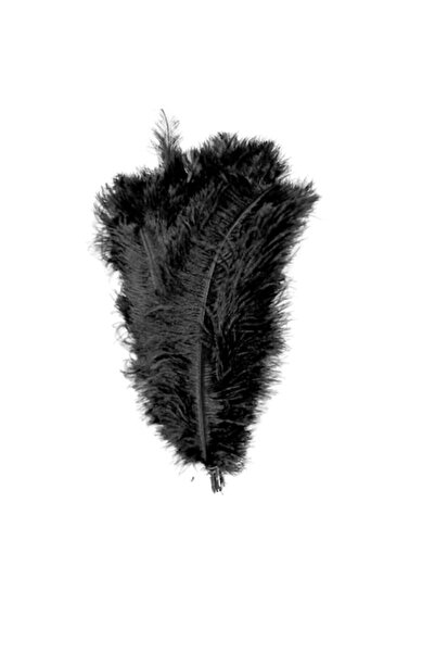 OEM Set de 3 pene de struț, lungi de 30-35cm, culoare neagră