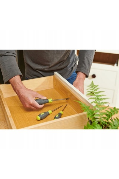 Ryobi Set de șurubelnițe RSD1PH2S 3 bucăți