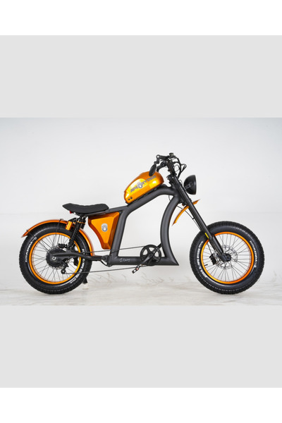Ape Ryder ROLOWAY ULTRA ELEKTRİKLİ BİSİKLET - 1500W