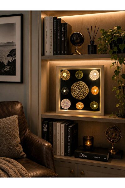 AZURA ATELIER DENİZ KESTANESİ LED IŞIKLI ÇERÇEVE