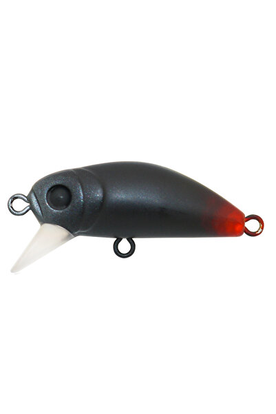 Hanfish Suni Yem