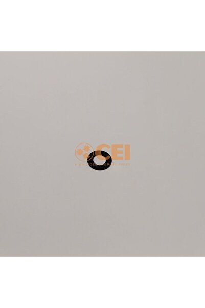 CEİ Set de Reparatii Reductor Roti Saiba Scania Rbp 835 Rp 735
