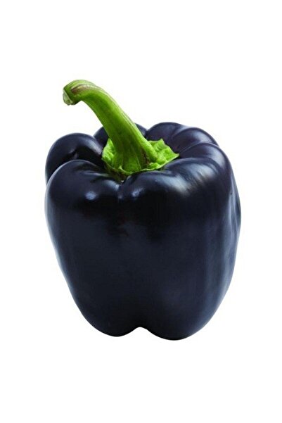 Garden Σπόροι Μωβ Πιπεριάς F1