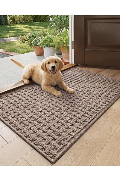 dexi Front Door Mat Inside Entrance Non Slip 44 x 76 cm, Washable Indoor Door...