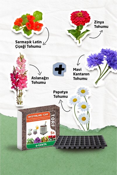 Genta Hobitar Çiçek Yetiştirme Seti Viyol Cocopeat - Sarmaşık Latin Çiçeği Ma...