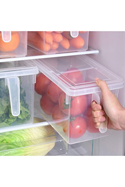 STARSTAR Three-piece refrigerator storage box with lid and handle