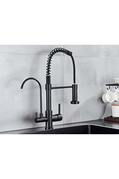 Generic Kitchen Mixer with Pull-Out and Desalination Filter, Black, German Br...