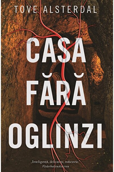 Rao Casa fara oglinzi - Tove Alsterdal