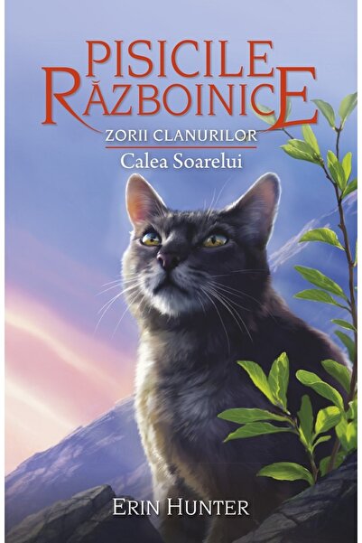 All Pisicile razboinice Vol.25: Calea Soarelui - Erin Hunter