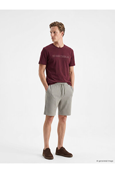 LC Waikiki Regular Fit Men's Shorts