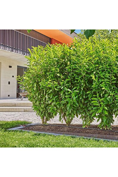 Gardena Kit de micro-irigare pentru garduri vii și arbuști 25 m