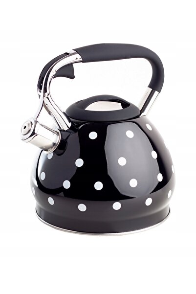 NO BRAND FIERBĂTOR CU INDUCȚIE PE GAZ, CU PUNCTE NEGRE, CAPACITATE 3L, BERRET...