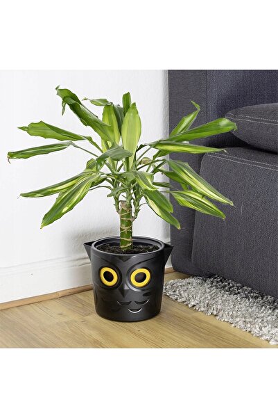 Maximex Ghiveci cu indicator de nivel al apei 18 cm