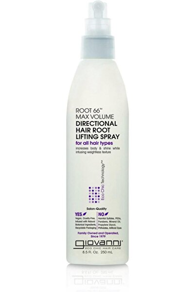 Giovanni Hair Care Products Stylg Mist 2Chic Flt Iron 4 Fz | Brazilian Phyto-...