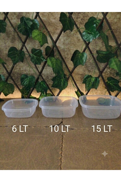 KAPLANBABA Set of 3 Transparent Plastic Dish and Vegetable Washing Basins 6 L...