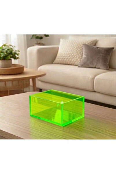 Trend Pleksi Multi-Purpose Transparent Green Plexiglass Box (20cm X 15cm X 10cm)