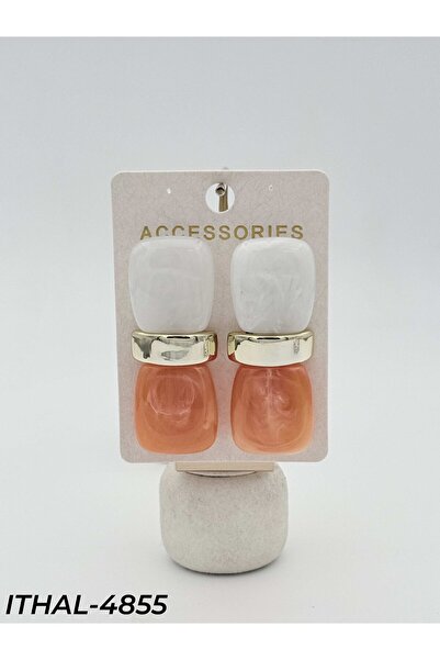 Bozhi Vip Z*Ra Earrings Vip Colorful Earrings Business Woman Style Gift