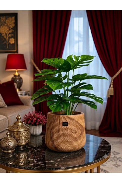 Generic Brand Artificial Monstera Plant with Premium Wooden Pot – Realistic T...