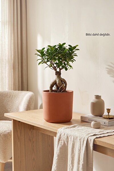 Binbirdemet Dekoratif Beton Saksı – Silindir 19,5x18 cm