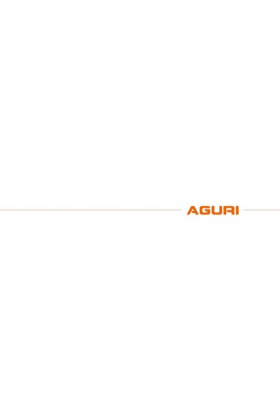 Aguri ADAPTOR PLATFORMĂ DE ALIMENTARE PENTRU 3 BICICLETE PENTRU E-BIKE ACTIV ...