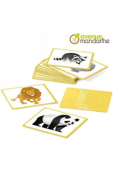 Panini AvenueMandarine Cărți cu imagini cu animale sălbatice