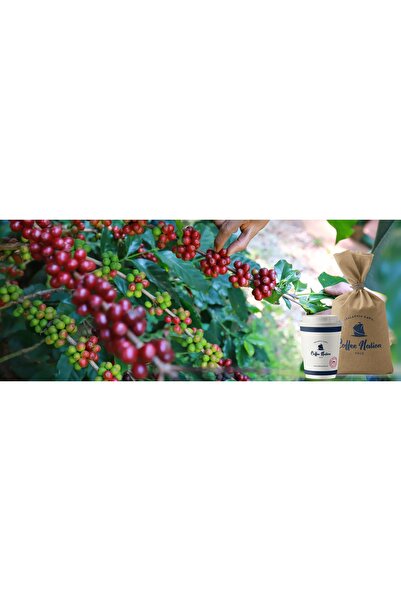 NO BRAND Coffee Nation cafea boabe proaspăt prăjite - BRASIL MOGIANA 250 g