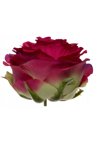 NO BRAND TRANDAFIR INDUSTRIAL FUCHSIA FUCHSIA 12 BUC. CAPETE DE FLORI PREMIUM