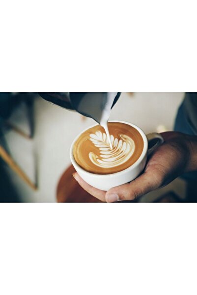 NO BRAND Oală de camping și ulcior pentru lapte Torralta Milk Jug - Brunner