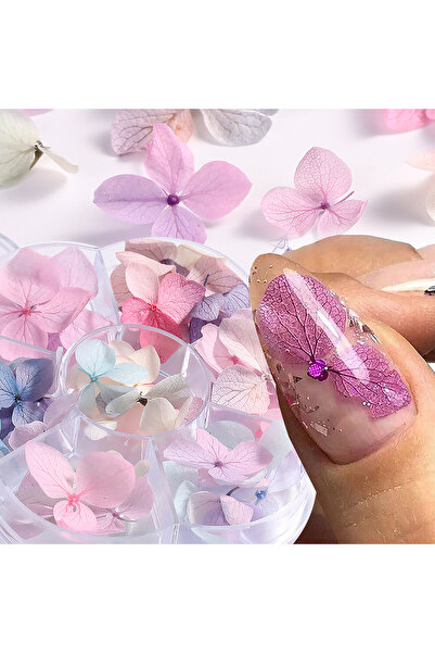 Choice3 FYS-02 Pastel Mixed Preserved Hydrangea Nail Flower, Natural Real Min...