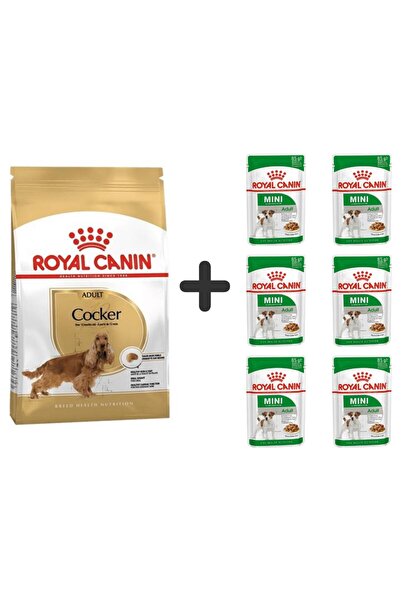 Royal Canin Cocker Yetişkin Köpek Maması 3 kg + 6 Adet Yaş Mama