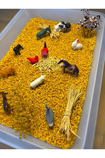 Calais 🌈   Discovery Series – Montessori Sensory Play Set - Farm Animals
