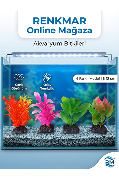 renkmar 4 Farklı Model Akvaryum Yapay Bitki Seti 6-12 cm FANUS süsü (Canlı Gö...