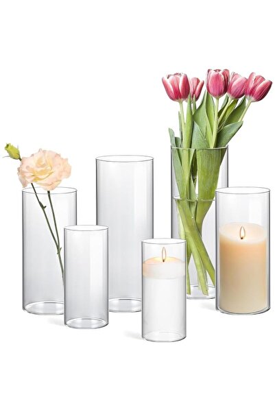 Generic Brand Glass Cylinder Vases Pack of 6, Clear Bud Vase for Wedding Cent...