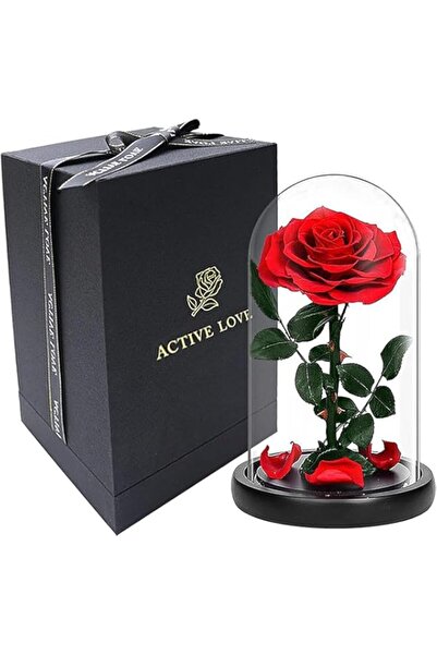 Generic Brand festive Preserved Rose Red Real Rose in Glass Dome Eternal Rose...