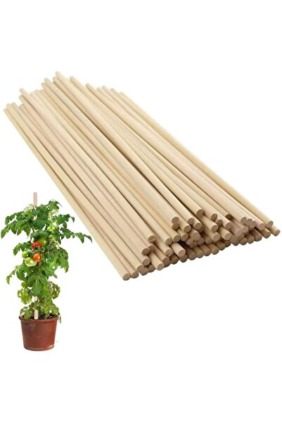 Generic Aputue Plant Stakes, 40 Pack 12 Inch Natural Bamboo Sticks, Durable P...