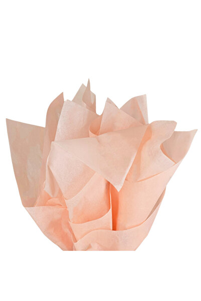Papette Set of 50 pieces Silk paper 17g PEACH - 50 x 75cm