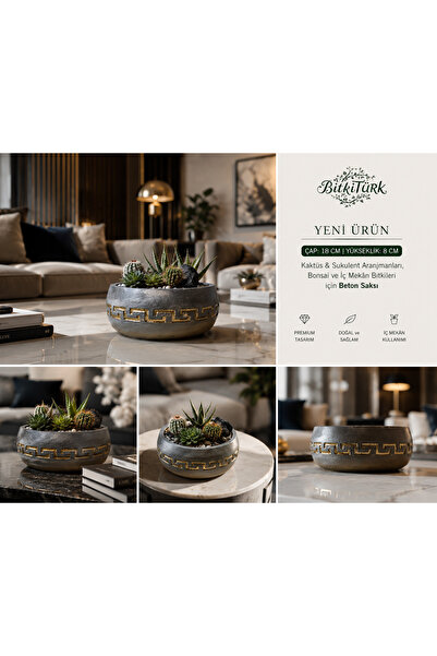 BitkiTÜRK Beton Bonsai& Salon Bitkisi Saksısı | Özel Tasarım