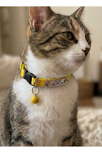 hebmeyy Kedi Tasması, Isimlikli Kedi Tasması, Kedi Künye Tasma, Kaybolursam A...