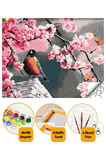 tale hobby Kuş ve Çiçek - Sayılarla Boyama Seti Kasnağa Gerili 40x50cm Boyala...