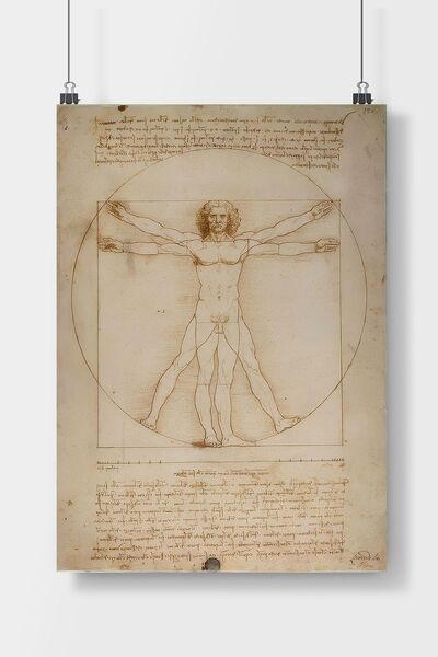 Luna Marissa Leonardo da Vinci, İnsan Figürü Şeması Tablosu Poster Çerçevesiz...