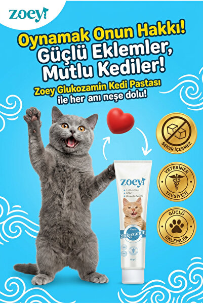 ZOEY PET PRODUCTS Zoey Kedi Glukozamin Macunu – Eklem ve Kıkırdak Destekleyic...