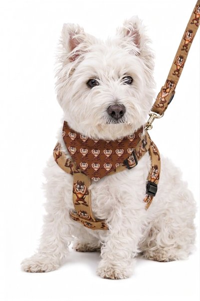 Angelapets Adjustable Scarf, Chest Harness and Travel Strap Set of 3