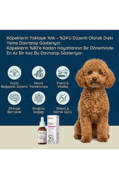 Dr. Nature's Köpek Multivitamin Damla 50 ml – Sıvı Vitamin Kompleksi ve Günlük Sağlık Desteği