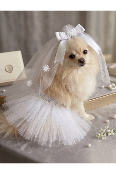 Barneystore Köpek Gelinlik Tütü ve Duvak