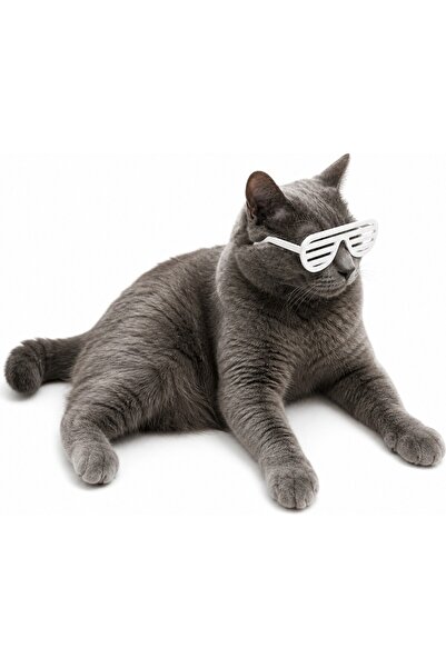Yapı3D ✨   Cat Glasses Set of 3 |   Fun Cat Accessory with Color Options |   ...