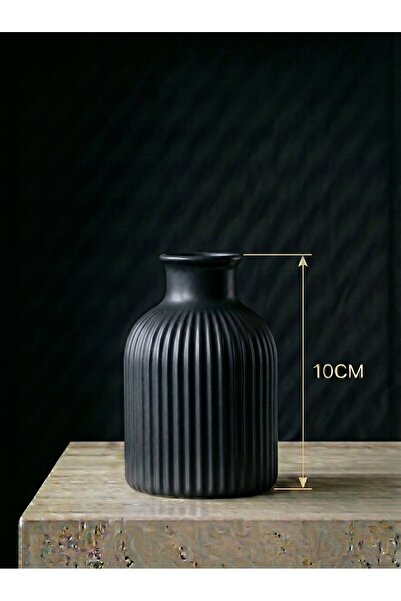 CANSEB Elegance Premium - Matte Black - 10cm Tall - Striped Pampas Vase - Han...