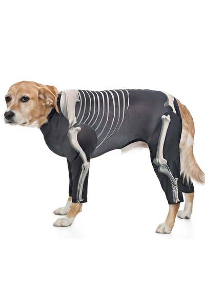 Petza Medium and Large Breed Dog Jumpsuit - Skeleton