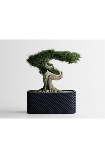 Sani Ghiveci decorativ Sani, Bonsai, mic 164 x 64 x 50 mm, Albastru închis mat