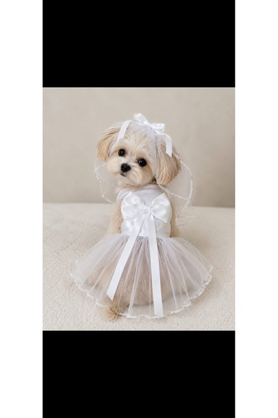 Generic Brand Cat Dog Clothes Wedding Dress