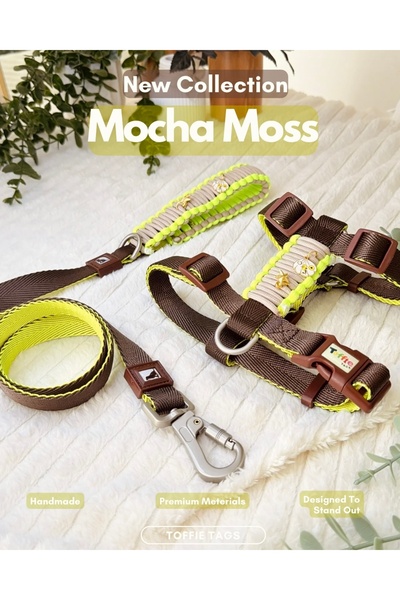 Kahverengi Premium Paracord Köpek Göğüs Tasması Ve Gezdirme Kayışı Seti